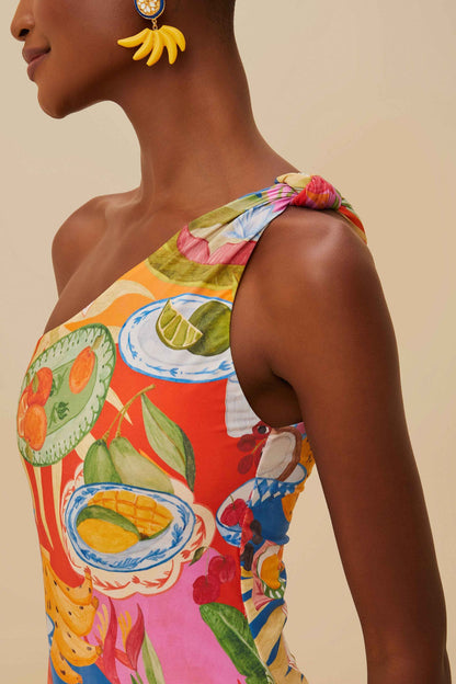FARM Rio Multicolor Summer Picnic One-Piece Swimsuit